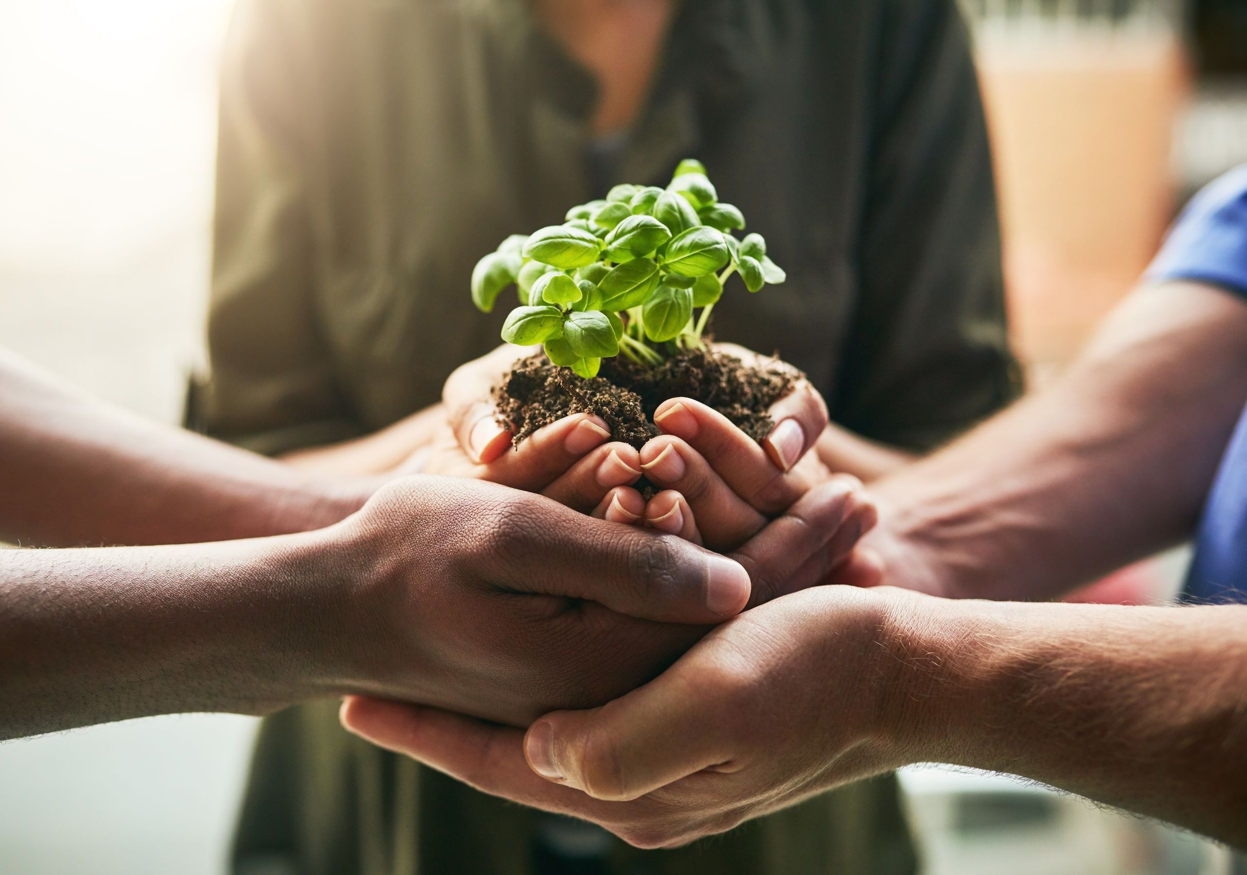 who-we-are_environmental-impact_shutterstock_2194265555