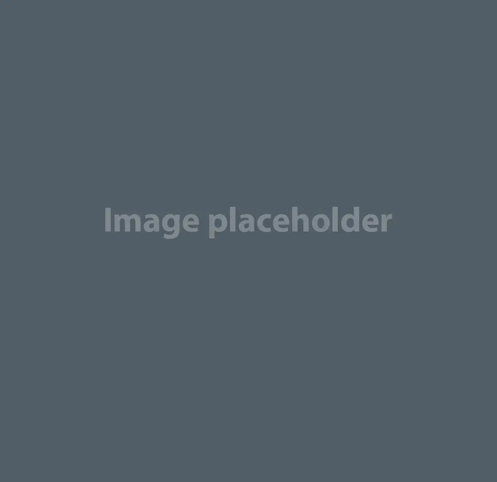 placeholder-text-blocks-Image-blank-v3