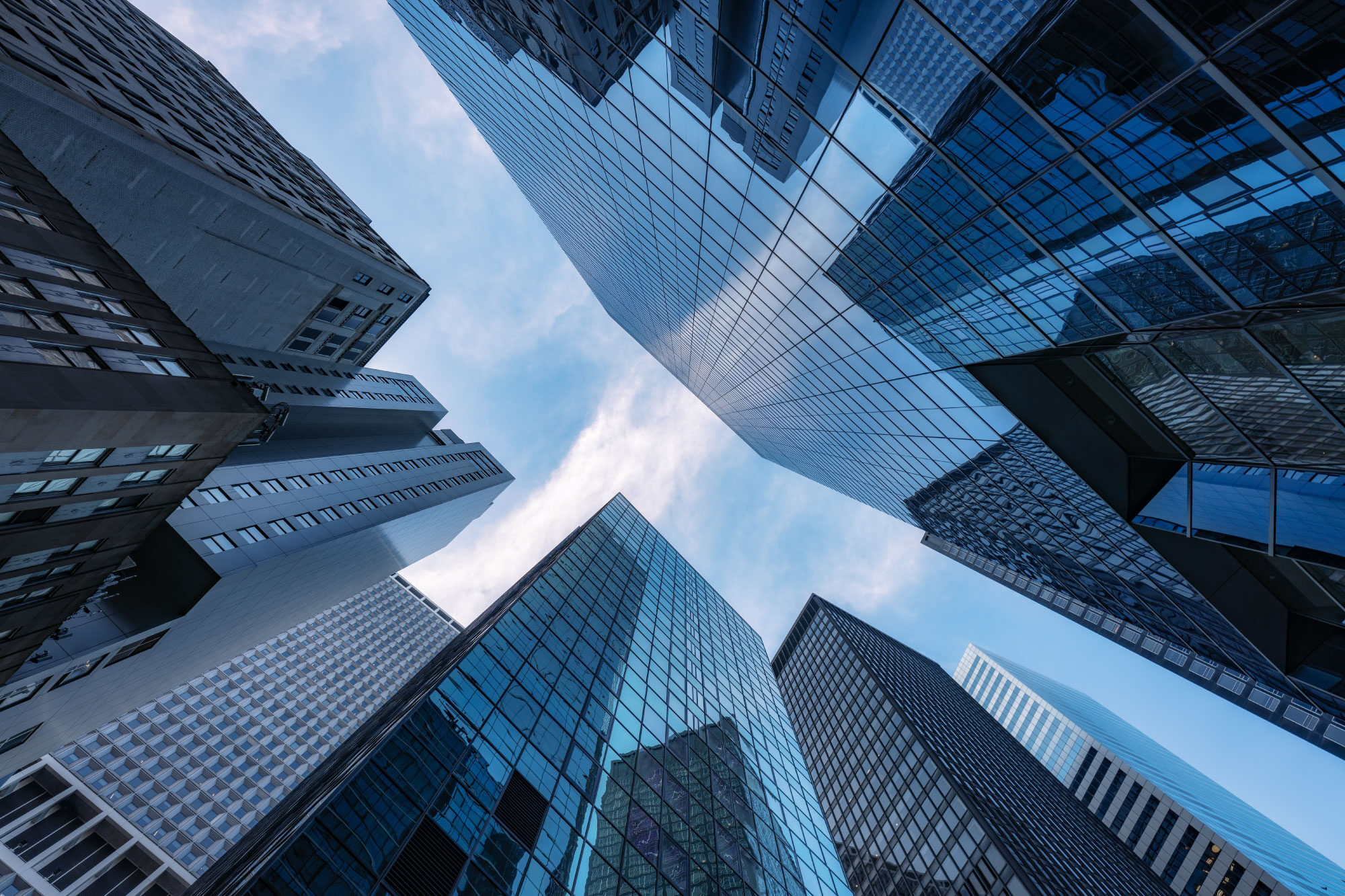 dora-ebook-thank-you-page-image