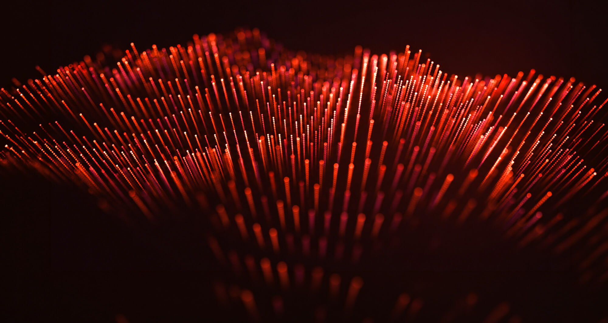 Abstract red fiber optic strands representing high-speed data connectivity and digital infrastructure