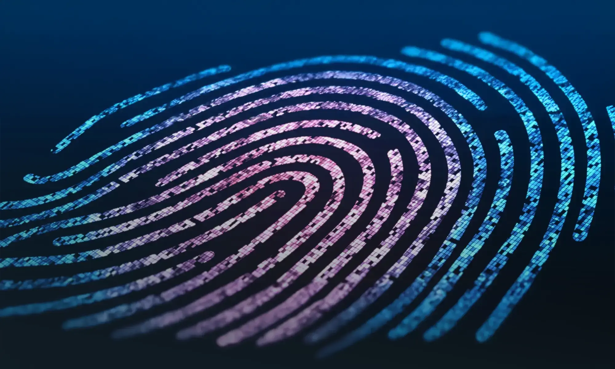 Digital fingerprint representing secure biometric identification technology