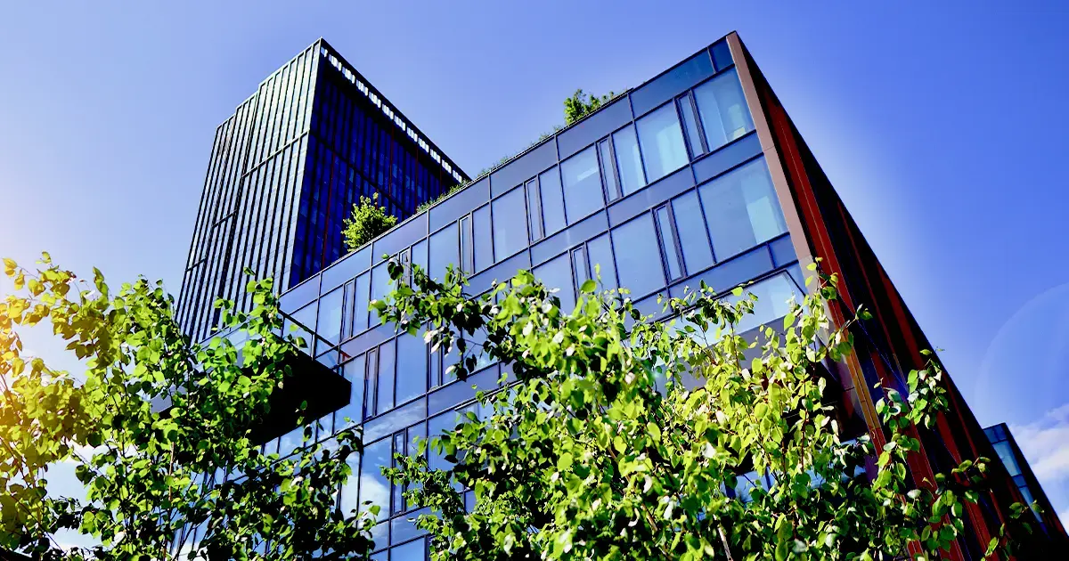 sun-trees-office-building-featrued-image-cc