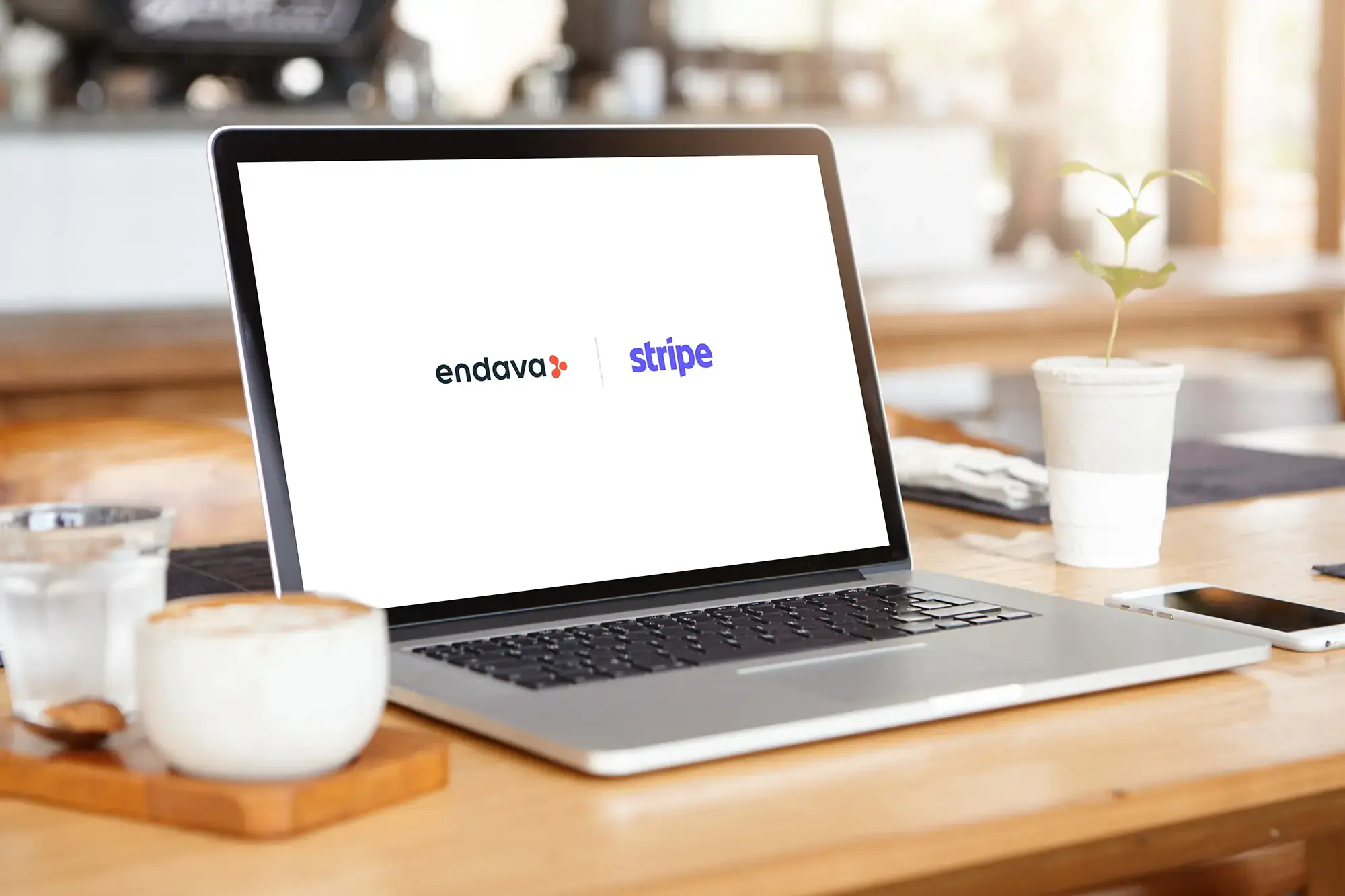 Endava and Stripe logos on a computer screen showing the Partner Ecosystem 