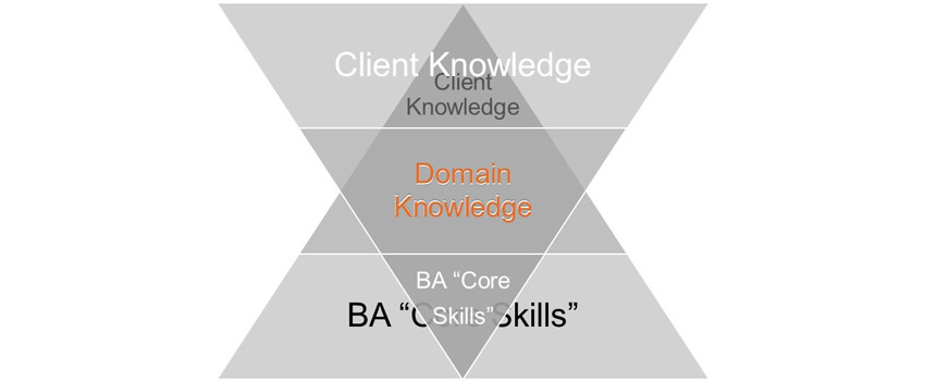 Figure 3: A combined perspective on business analysis skills
