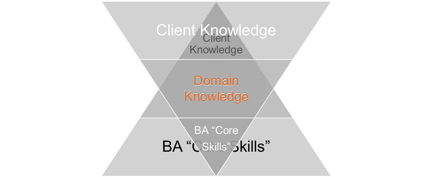 Figure 3: A combined perspective on business analysis skills