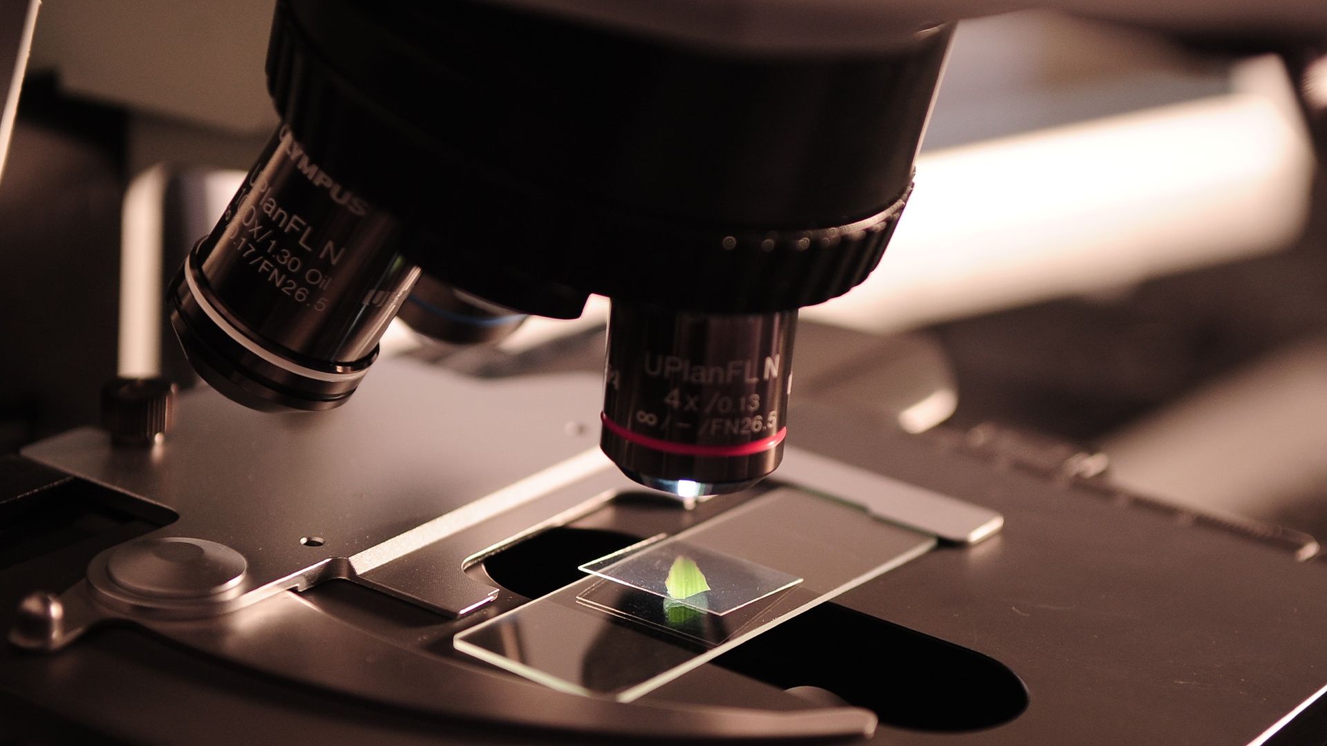 Microscopy-Hero